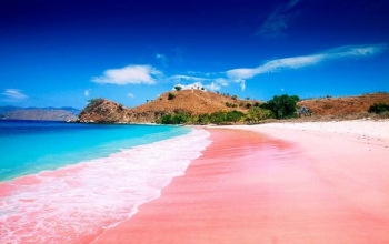 pantai pink lombok paket lombok wisata