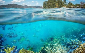 gili nanggu,alam bawah laut